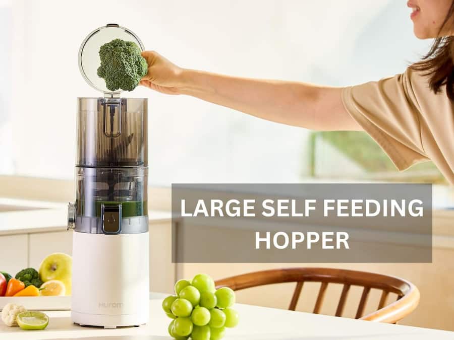 Hurom E30ST Cold Press Slow Juicer