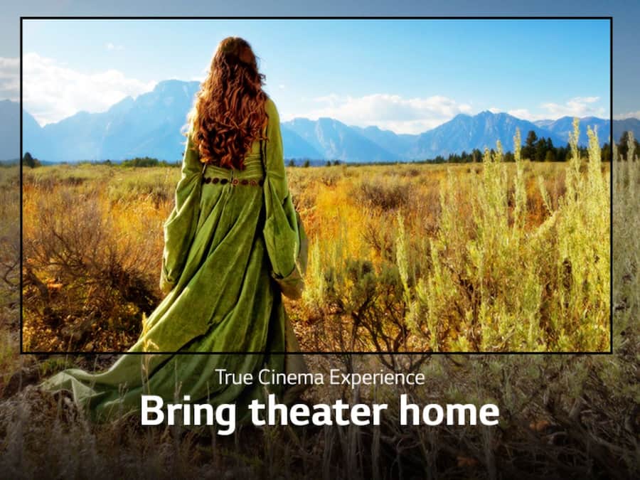 LG 164 cm (65 inches)