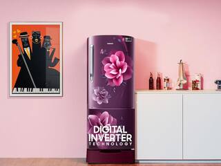 Best refrigerators under Rs 20,000 in 2026: Top models with base drawer, toughened glass shelves and smart features