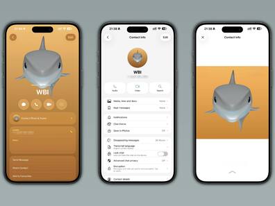 No DP on WhatsApp? New feature could fix that for your contacts