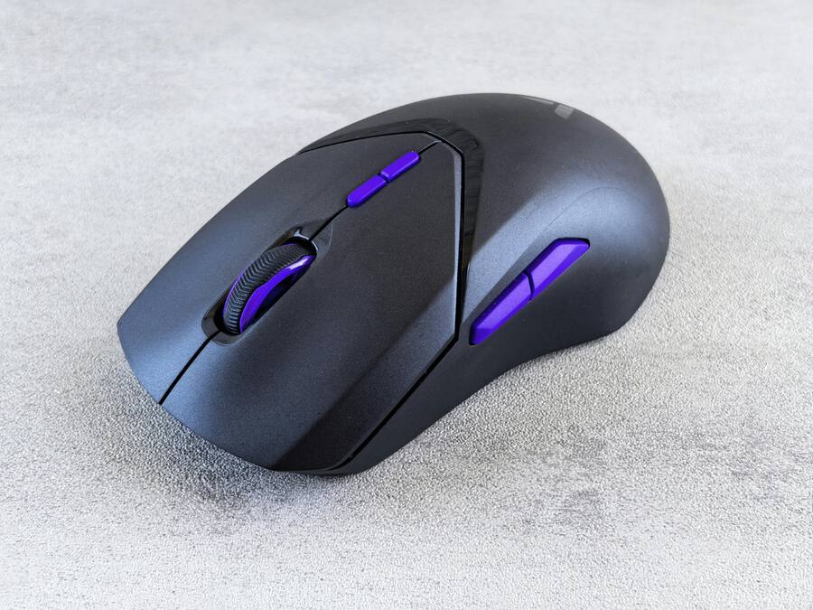 Computer Mouse (2)