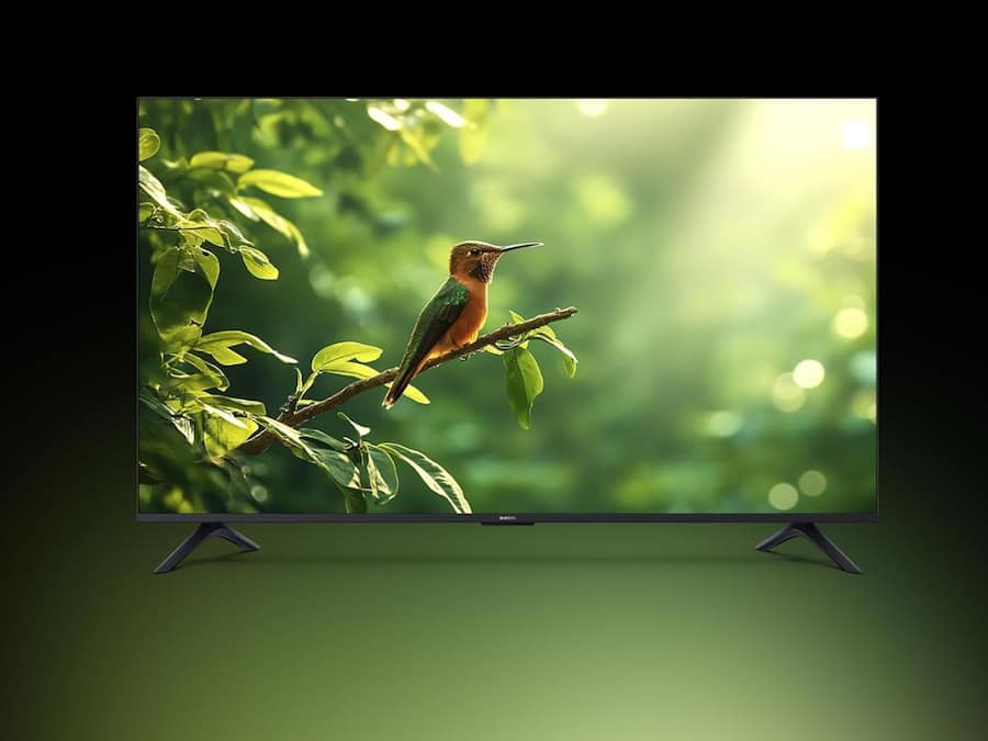 _Xiaomi 138 cm (55 inch) (1)