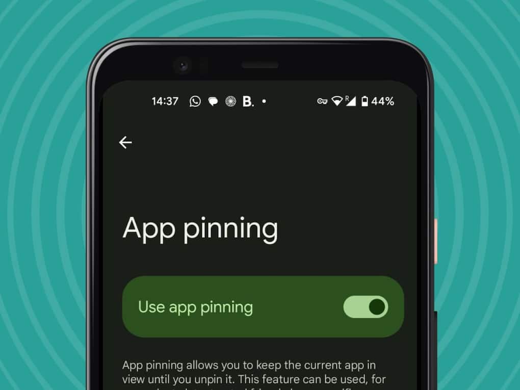 App Pinning
