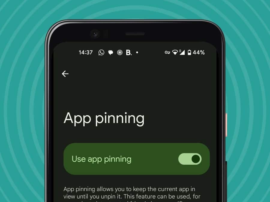 App Pinning