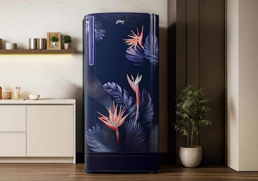 Fridge (22)