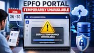 EPFO portal to remain unavailable from June 26 to June 30: Check affected services