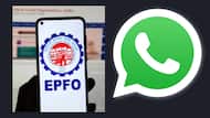EPF Balance Check: अपने WhatsApp पर देख सकेंगे पूरा बैलेंस, ऐसे निकाले अपने राज्य का व्हाट्सऐप नंबर