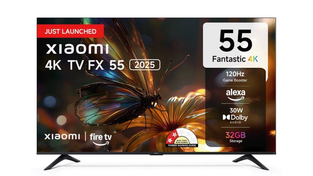 Xiaomi FX Series 55 inch