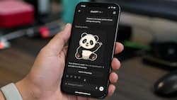 ChatGPT could soon create WhatsApp stickers